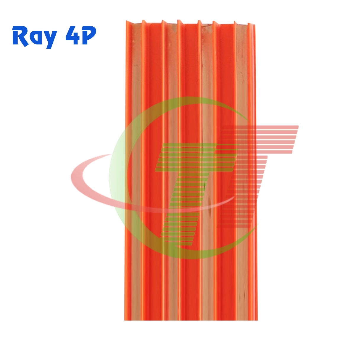 Ray Điện 4P